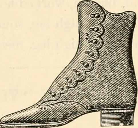 An illustration from Price list and diary for 1898., 1898, leaf 368