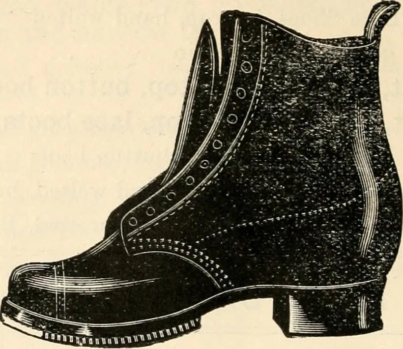 An illustration from Price list and diary for 1898., 1898, leaf 379