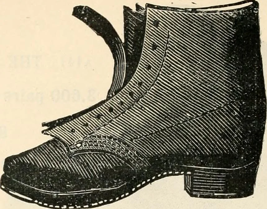 An illustration from Price list and diary for 1898., 1898, leaf 381