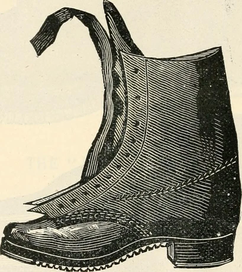 An illustration from Price list and diary for 1898., 1898, leaf 381