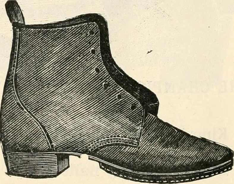 An illustration from Price list and diary for 1898., 1898, leaf 381