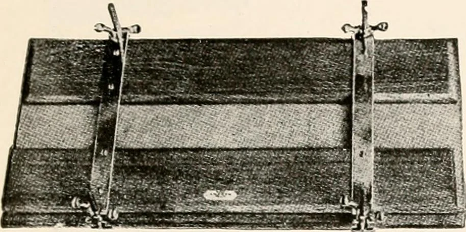 An illustration from Price list and diary for 1898., 1898, leaf 390