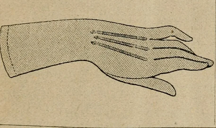 An illustration from Price list and diary for 1898., 1898, leaf 410