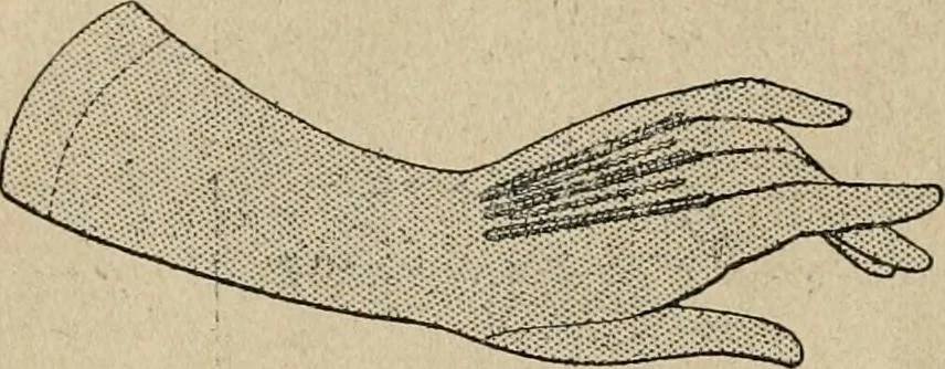 An illustration from Price list and diary for 1898., 1898, leaf 449
