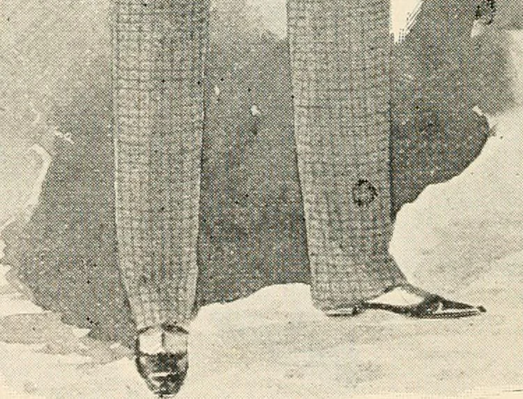 An illustration from Price list and diary for 1898., 1898, leaf 525