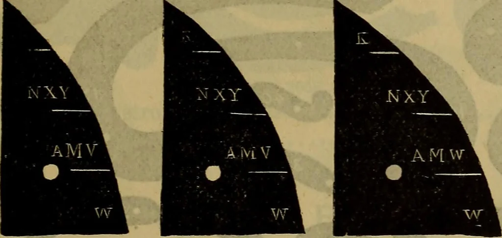 An illustration from Price list of drawing materials, architects and engineers, supplies, blue process papers, etc, 1886, leaf 108