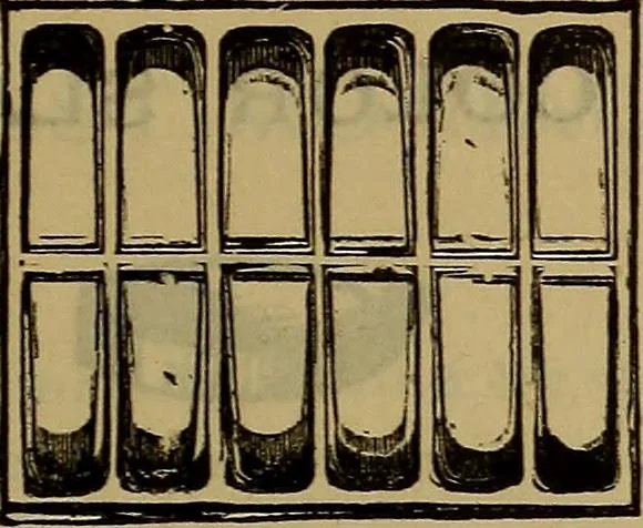 An illustration from Price list of drawing materials, architects and engineers, supplies, blue process papers, etc, 1886, leaf 150