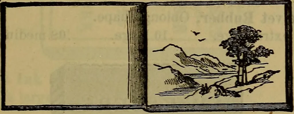 An illustration from Price list of drawing materials, architects and engineers, supplies, blue process papers, etc, 1886, leaf 174