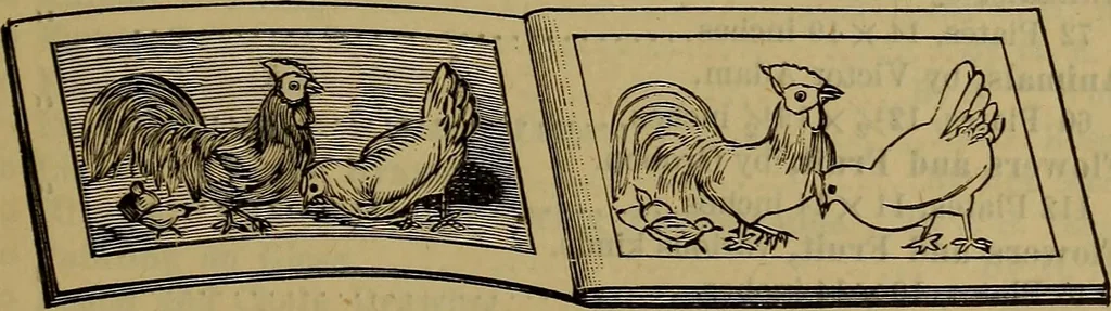 An illustration from Price list of drawing materials, architects and engineers, supplies, blue process papers, etc, 1886, leaf 212