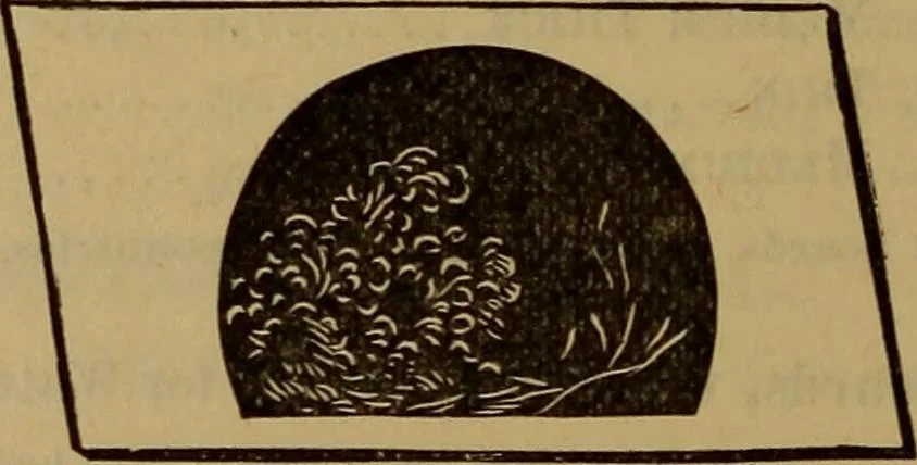 An illustration from Price list of drawing materials, architects and engineers, supplies, blue process papers, etc, 1886, leaf 9