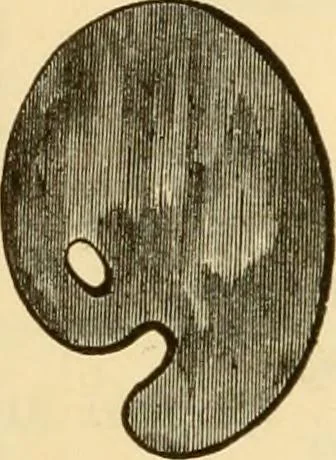 An illustration from Price list of painters' supplies., 1877, leaf 27