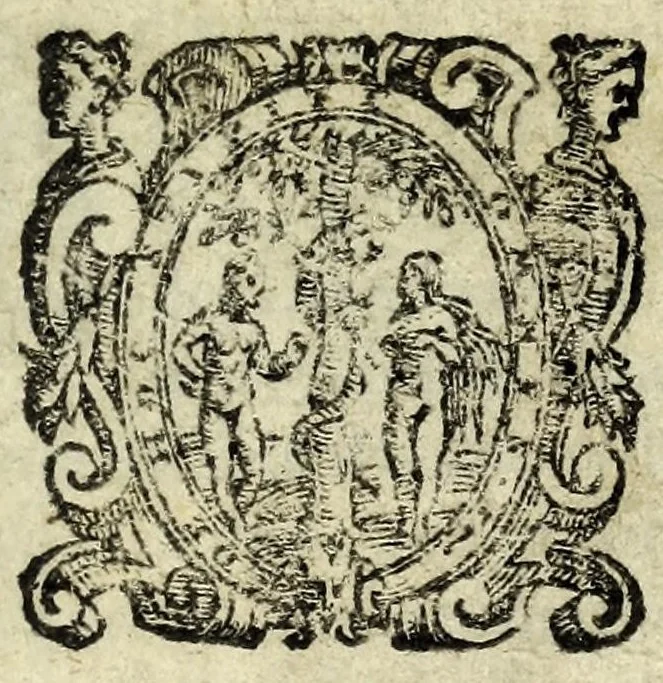 An illustration from Prigione d'amore : commedia nvova, 1596, leaf 5