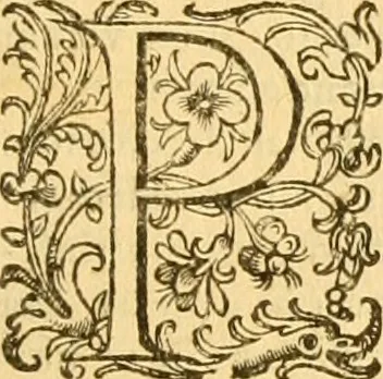 An illustration from Prima pars summa theologie de Deo Vno & trino. : in tres præcipvos tractatvs distribura cum varies indicibus, 1607, leaf 438