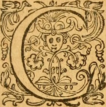 An illustration from Prima pars summa theologie de Deo Vno & trino. : in tres præcipvos tractatvs distribura cum varies indicibus, 1607, leaf 446