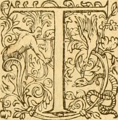 An illustration from Prima pars summa theologie de Deo Vno & trino. : in tres præcipvos tractatvs distribura cum varies indicibus, 1607, leaf 622