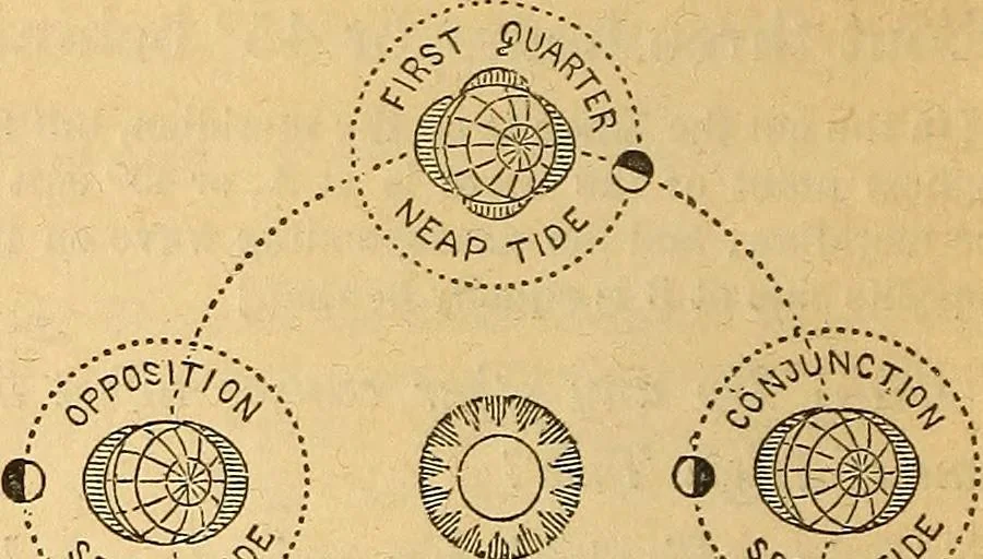 An illustration from A primary astronomy .., 1851, leaf 143