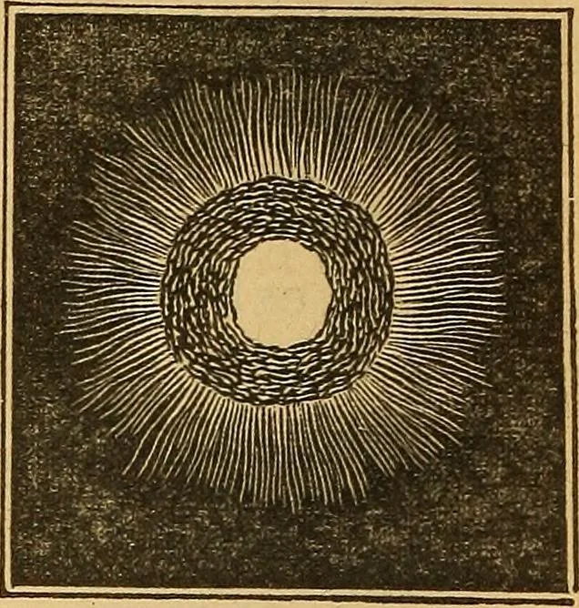 An illustration from A primary astronomy .., 1851, leaf 147