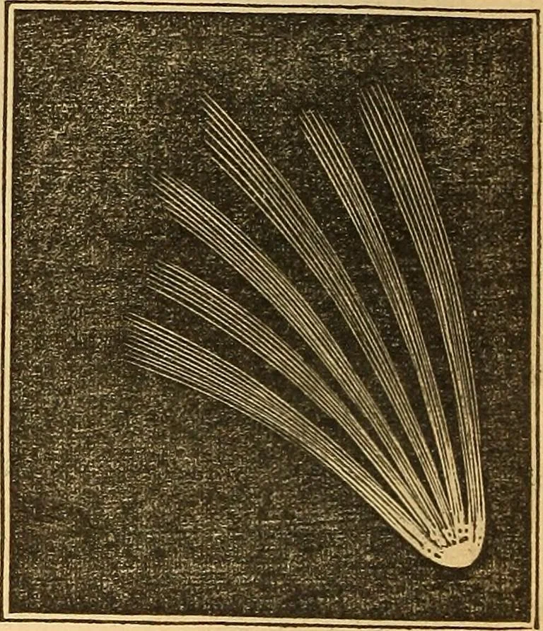 An illustration from A primary astronomy .., 1851, leaf 147