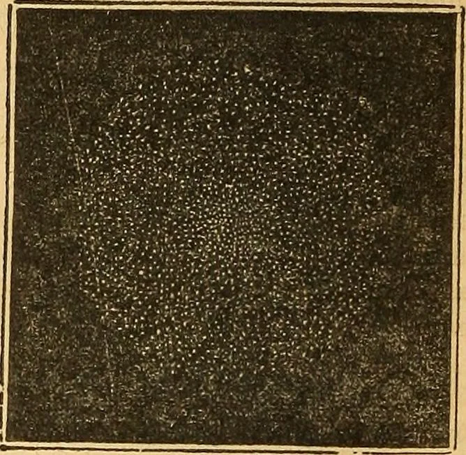 An illustration from A primary astronomy .., 1851, leaf 169