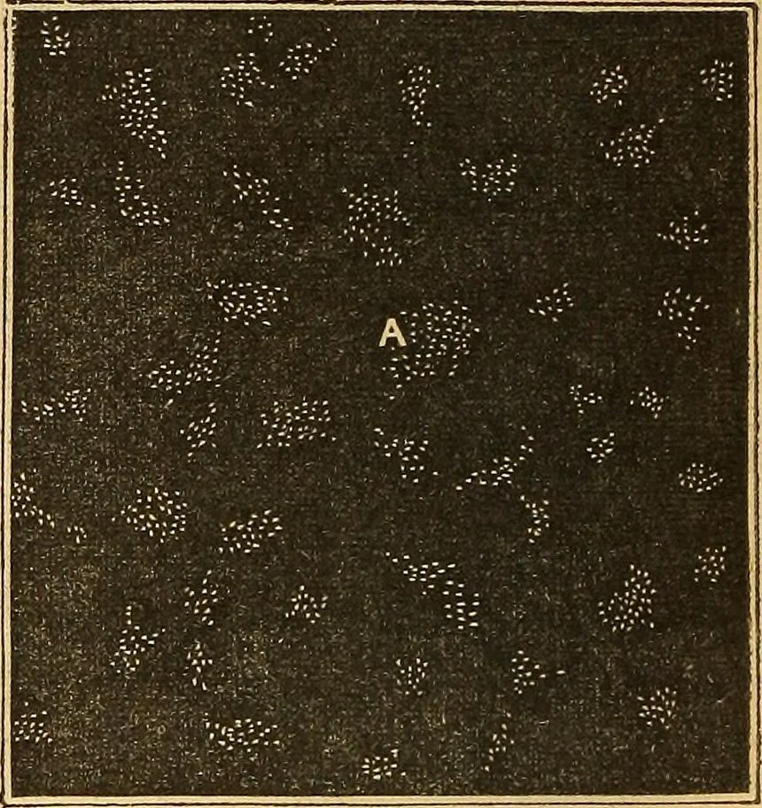 An illustration from A primary astronomy .., 1851, leaf 171