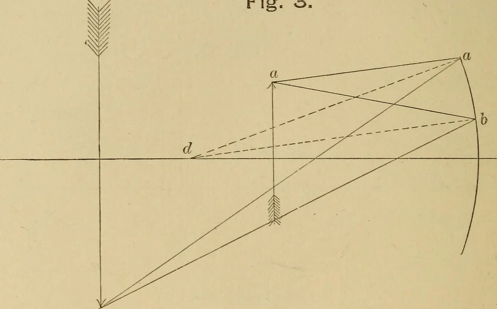 An illustration from Primary microscopy and biology. A text book for the use of students in high schools, normal schools and academies, 1890, leaf 15