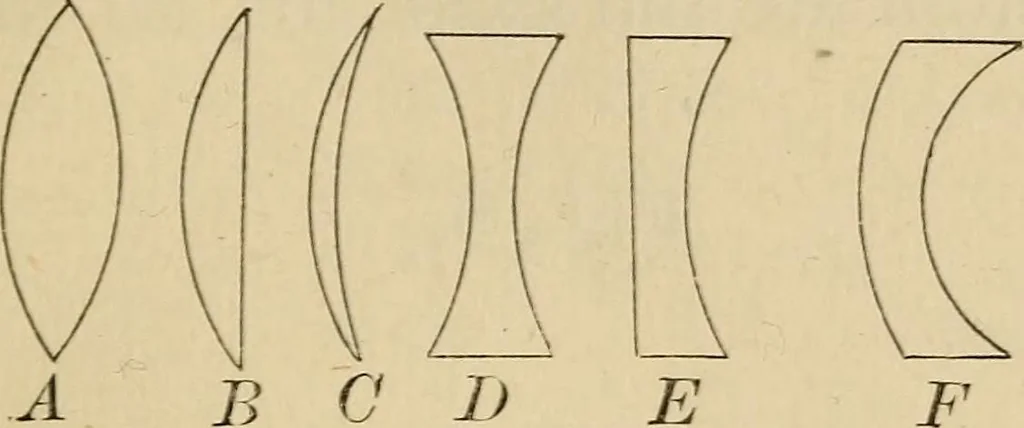An illustration from Primary microscopy and biology. A text book for the use of students in high schools, normal schools and academies, 1890, leaf 16