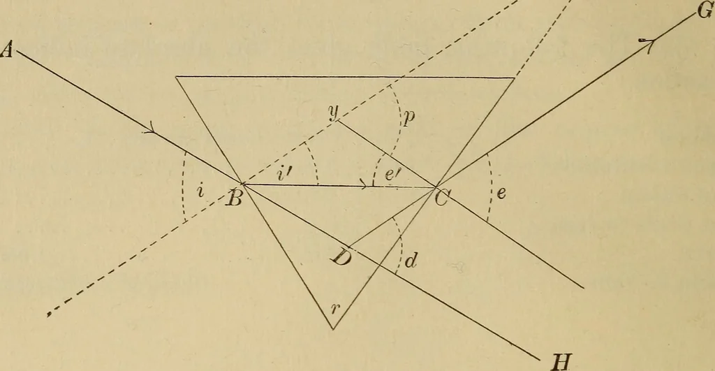An illustration from Primary microscopy and biology. A text book for the use of students in high schools, normal schools and academies, 1890, leaf 19