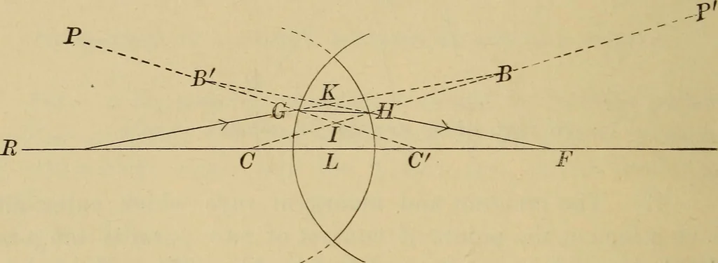 An illustration from Primary microscopy and biology. A text book for the use of students in high schools, normal schools and academies, 1890, leaf 21