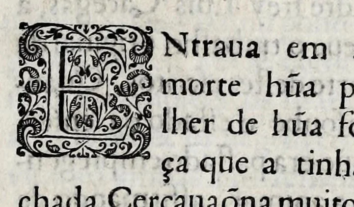 An illustration from Primeira[-quarta] parte da historia de S. Domingos : particular do reino e conquistas de Portugal, 1623, leaf 401
