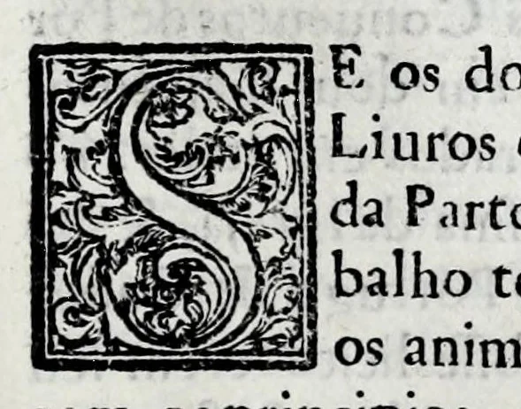 An illustration from Primeira[-quarta] parte da historia de S. Domingos : particular do reino e conquistas de Portugal, 1623, leaf 287