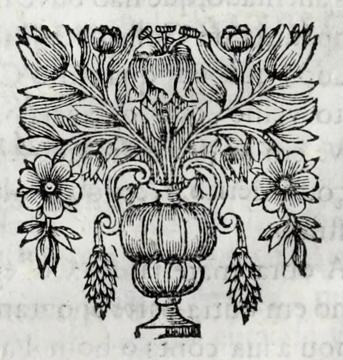 An illustration from Primeira[-quarta] parte da historia de S. Domingos : particular do reino e conquistas de Portugal, 1623, leaf 106