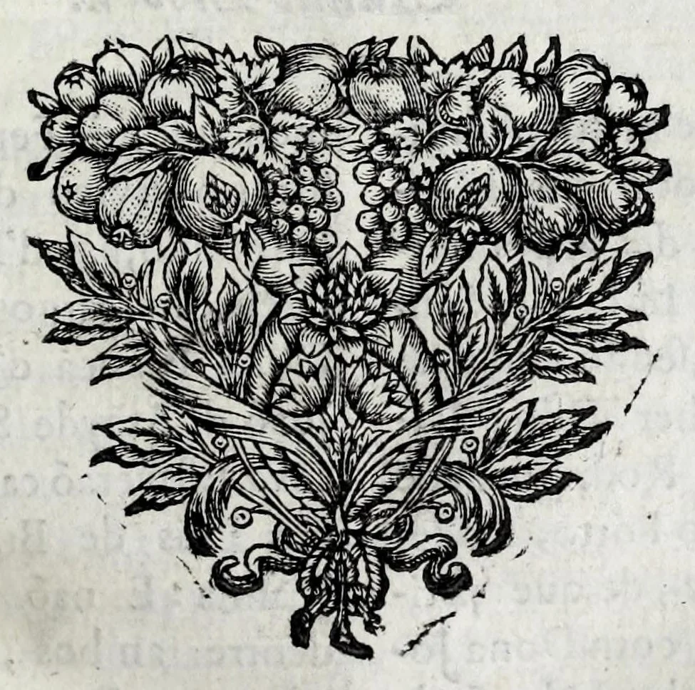 An illustration from Primeira[-quarta] parte da historia de S. Domingos : particular do reino e conquistas de Portugal, 1623, leaf 109