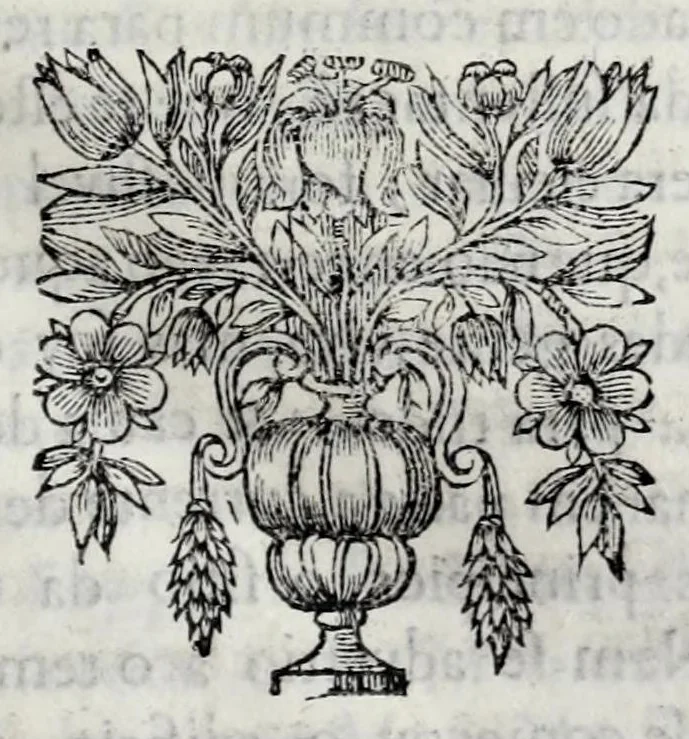 An illustration from Primeira[-quarta] parte da historia de S. Domingos : particular do reino e conquistas de Portugal, 1623, leaf 149
