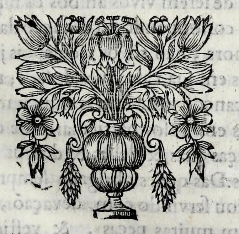 An illustration from Primeira[-quarta] parte da historia de S. Domingos : particular do reino e conquistas de Portugal, 1623, leaf 177