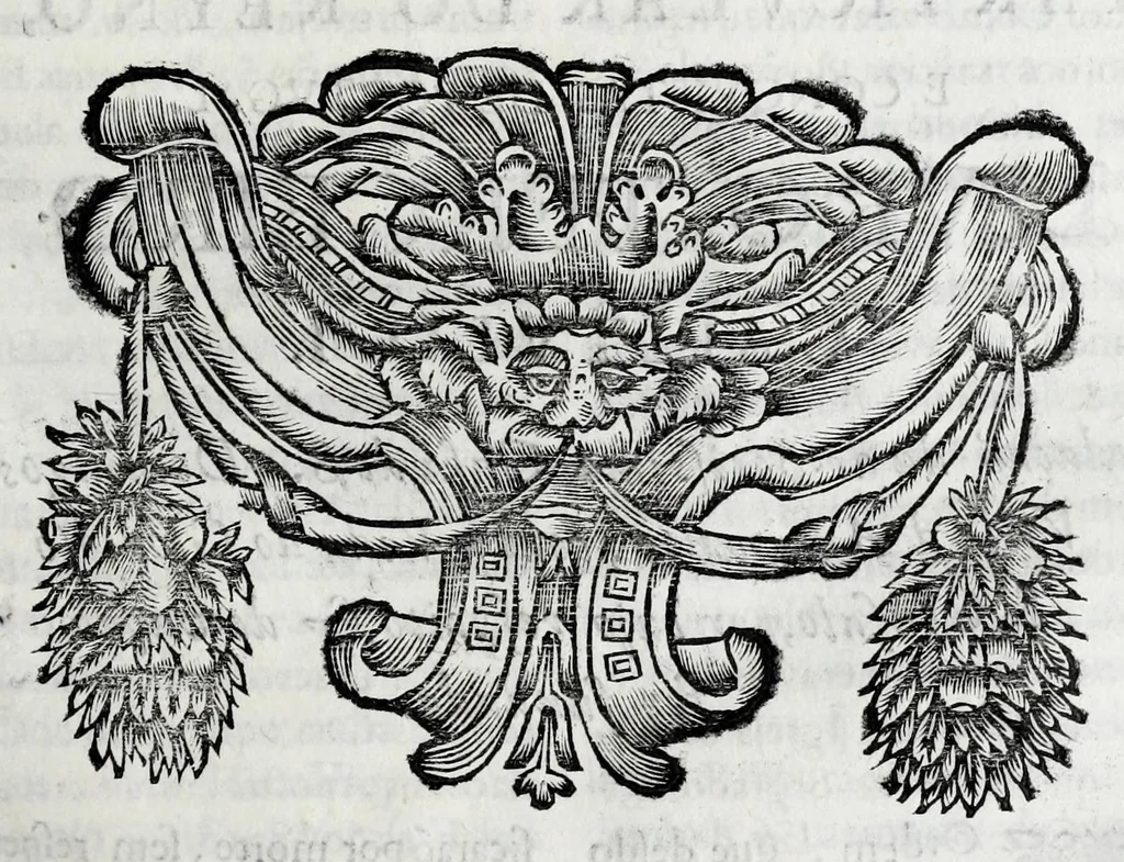 An illustration from Primeira[-quarta] parte da historia de S. Domingos : particular do reino e conquistas de Portugal, 1623, leaf 205