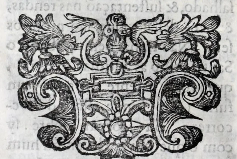 An illustration from Primeira[-quarta] parte da historia de S. Domingos : particular do reino e conquistas de Portugal, 1623, leaf 218