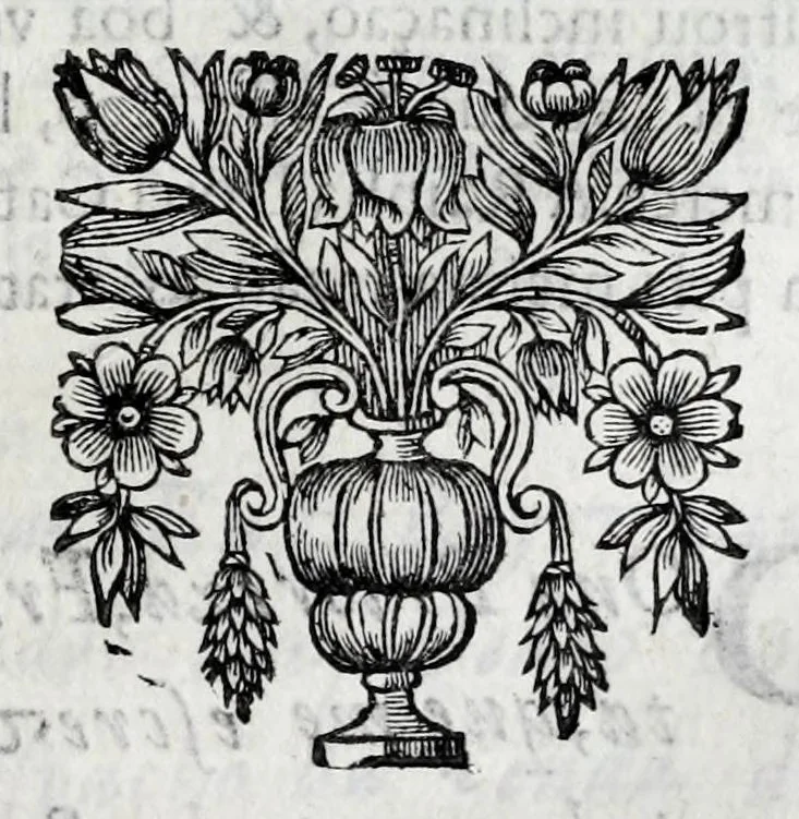An illustration from Primeira[-quarta] parte da historia de S. Domingos : particular do reino e conquistas de Portugal, 1623, leaf 273