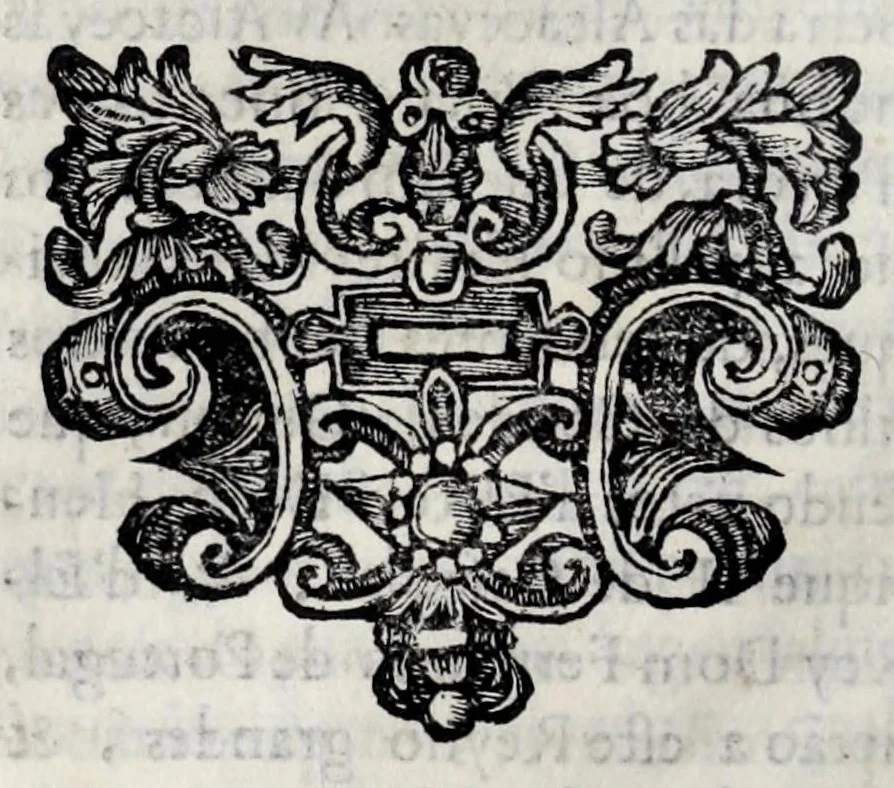 An illustration from Primeira[-quarta] parte da historia de S. Domingos : particular do reino e conquistas de Portugal, 1623, leaf 300