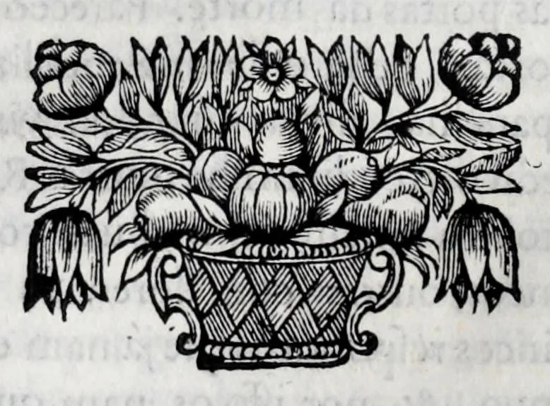 An illustration from Primeira[-quarta] parte da historia de S. Domingos : particular do reino e conquistas de Portugal, 1623, leaf 314