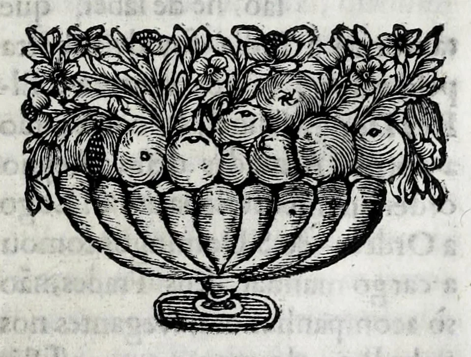 An illustration from Primeira[-quarta] parte da historia de S. Domingos : particular do reino e conquistas de Portugal, 1623, leaf 341