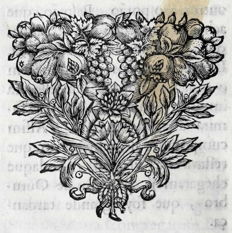An illustration from Primeira[-quarta] parte da historia de S. Domingos : particular do reino e conquistas de Portugal, 1623, leaf 350