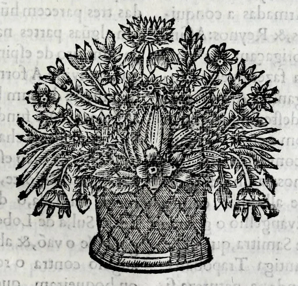 An illustration from Primeira[-quarta] parte da historia de S. Domingos : particular do reino e conquistas de Portugal, 1623, leaf 385