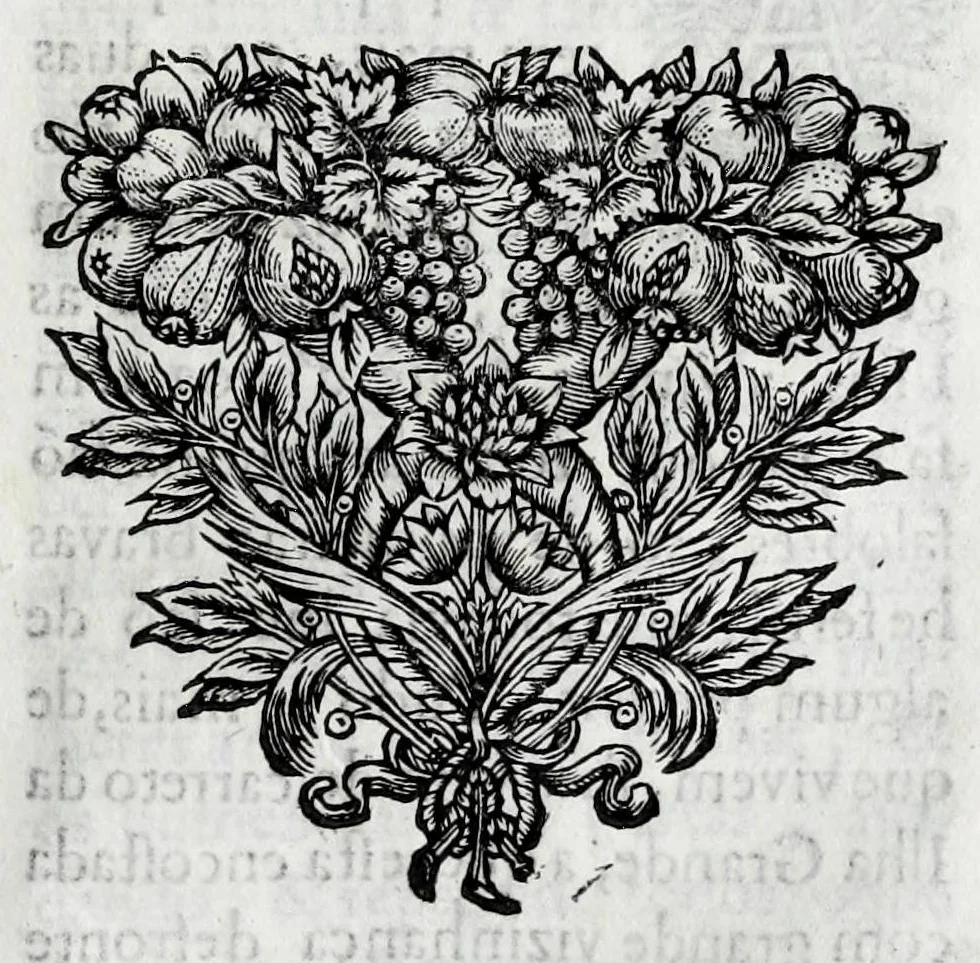 An illustration from Primeira[-quarta] parte da historia de S. Domingos : particular do reino e conquistas de Portugal, 1623, leaf 395