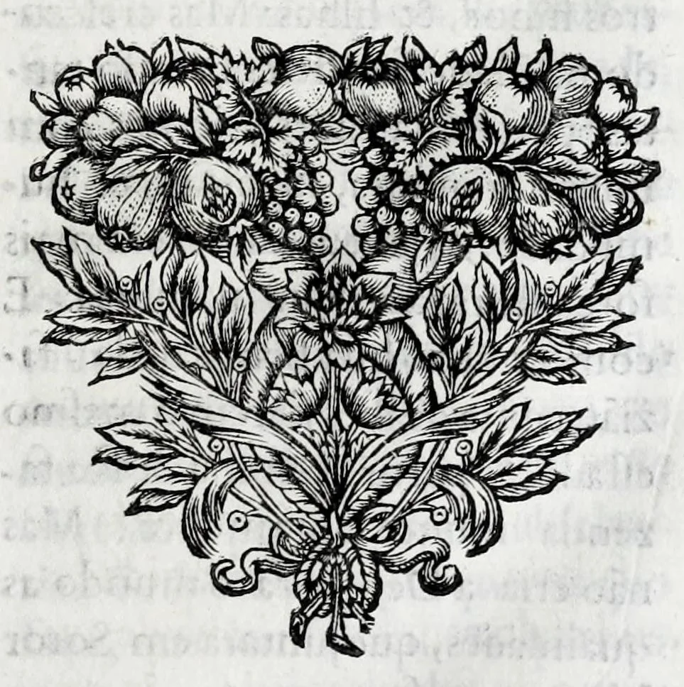 An illustration from Primeira[-quarta] parte da historia de S. Domingos : particular do reino e conquistas de Portugal, 1623, leaf 43