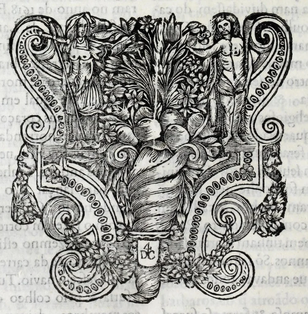 An illustration from Primeira[-quarta] parte da historia de S. Domingos : particular do reino e conquistas de Portugal, 1623, leaf 436