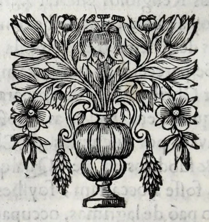 An illustration from Primeira[-quarta] parte da historia de S. Domingos : particular do reino e conquistas de Portugal, 1623, leaf 464