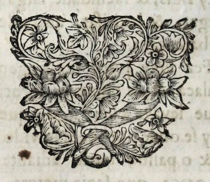 An illustration from Primeira[-quarta] parte da historia de S. Domingos : particular do reino e conquistas de Portugal, 1623, leaf 468