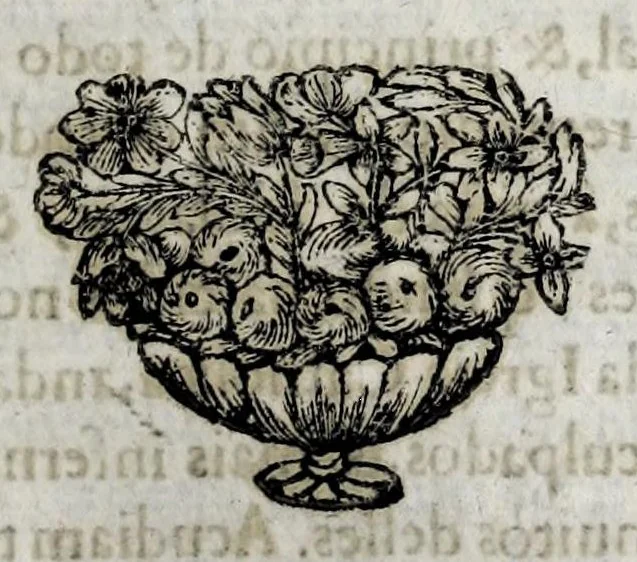 An illustration from Primeira[-quarta] parte da historia de S. Domingos : particular do reino e conquistas de Portugal, 1623, leaf 481