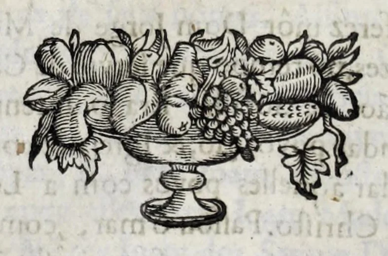 An illustration from Primeira[-quarta] parte da historia de S. Domingos : particular do reino e conquistas de Portugal, 1623, leaf 496