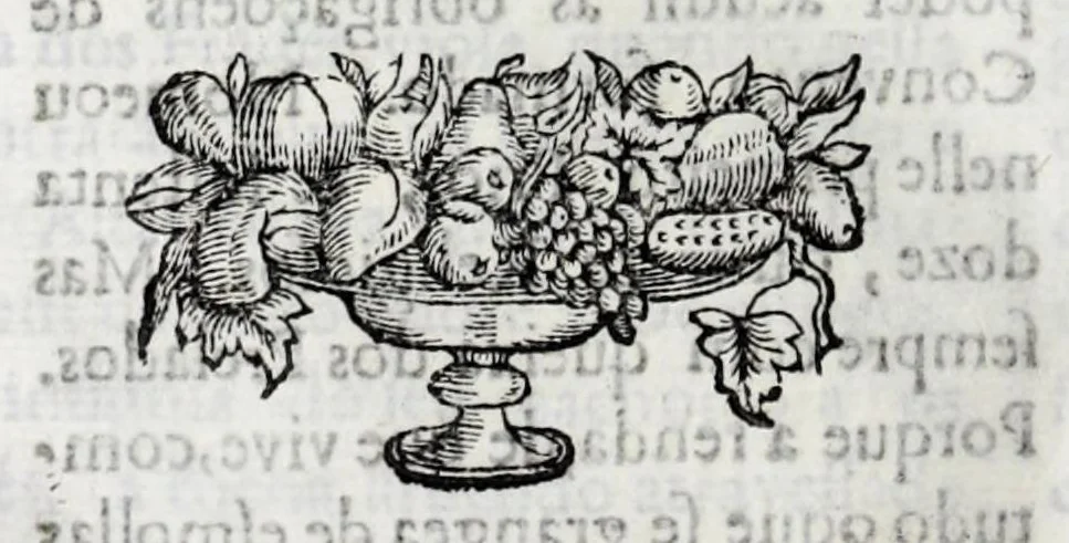 An illustration from Primeira[-quarta] parte da historia de S. Domingos : particular do reino e conquistas de Portugal, 1623, leaf 508